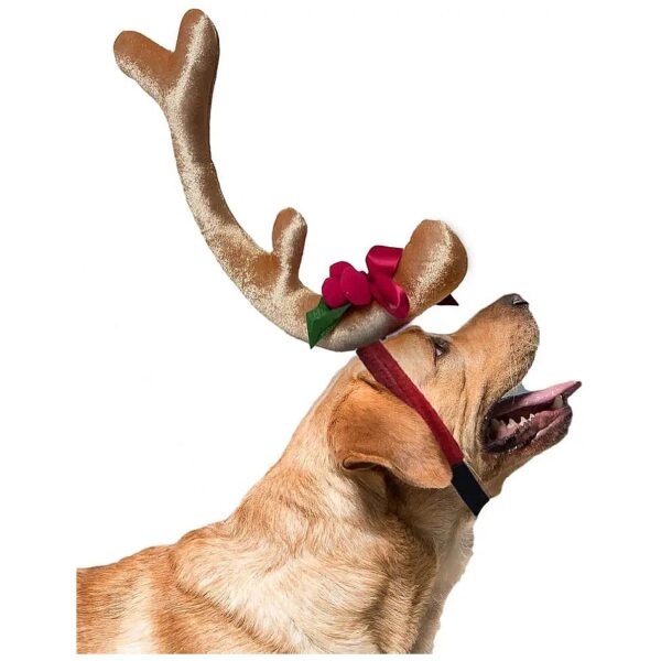 Mistletoe Dog Costume with Antler Headband - Large Christmas Pet Accessories