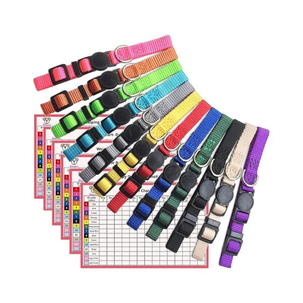 Multi-Colored Nylon ID Collars with Whelping Litter Record System for Small Pets