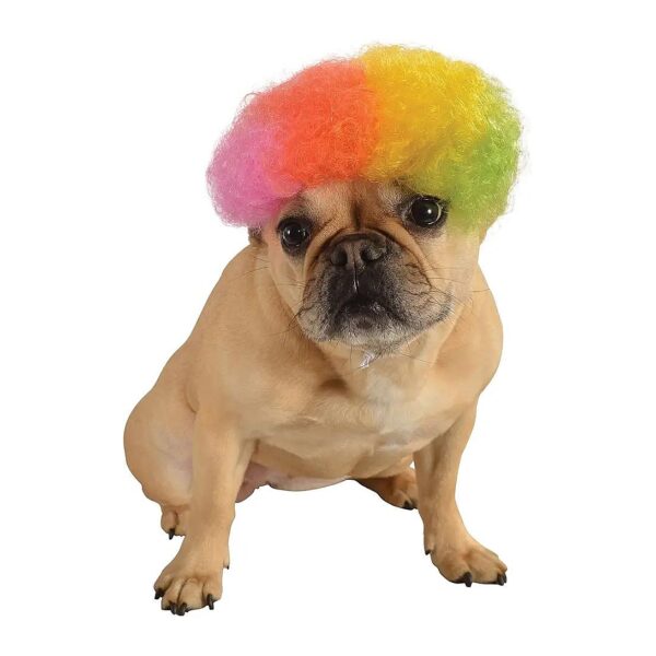 Multi-Colored Rainbow Afro Wig for Large Breed Dogs