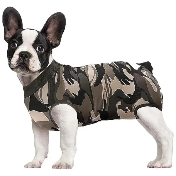 Multi-Functional Dog Recovery Suit for Neutering, Surgery, and Everyday Wear