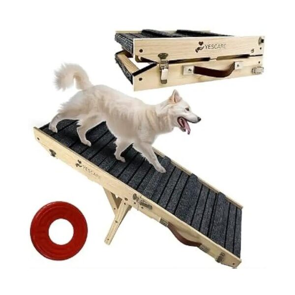 Multi-Functional Pet Ramp for Small Pets with Toy Disc and Four Adjustable Height Levels