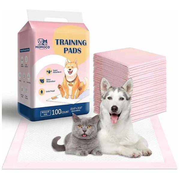 Multi-Layer Absorbent Pee Pads for Durable and Dry Floor Solutions for Dogs and Cats