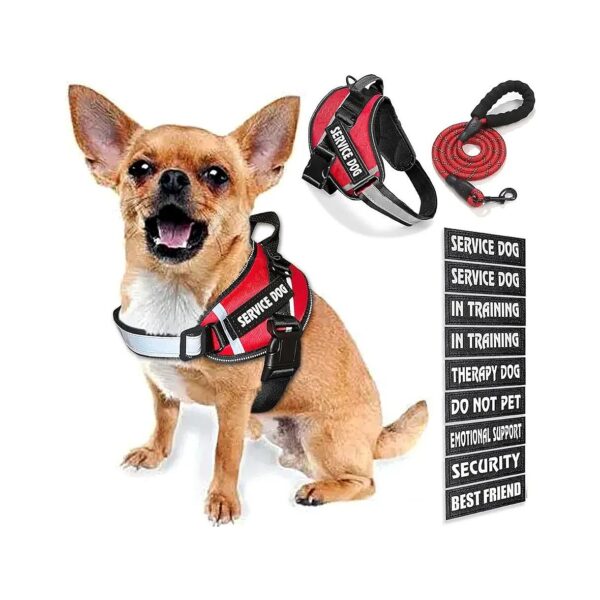 Multi-Use Dog Vest with Removable Patches for Small to Large Breed Dogs