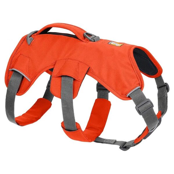 Multi-Use Support Harness for Hiking, Trail Running, and Everyday Wear