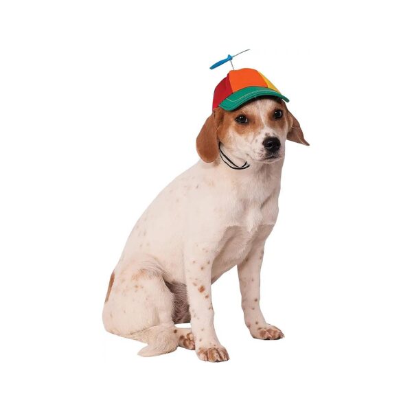 Multicolor Small to Medium Breed Dog Propeller Hat