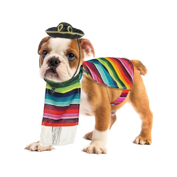 Multicolored Serape Dog Poncho Costume for Small Breed Pets with Adjustable Sombrero