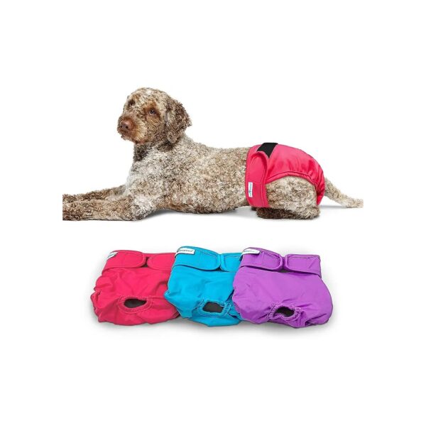 Multiple Color Options for Reusable Dog Diapers with Black Lining