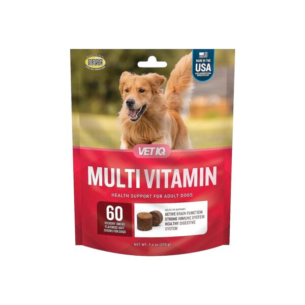 Multivitamin Supplement with Brain, Immune and Digestive System Support for Healthy Dogs