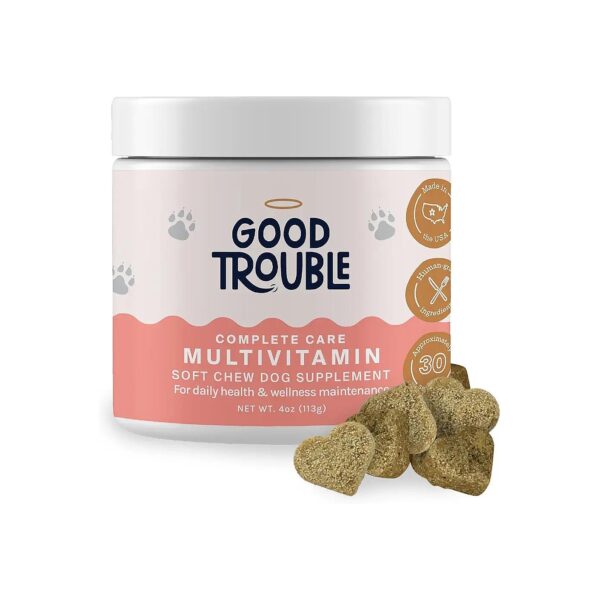 Multivitamin Supplements for Dogs with Glucosamine, Chondroitin, and Omega Fish Oil