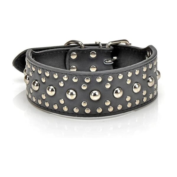 Mushroom Rivet Studded Leather Dog Collar for Boxers and Other Breeds