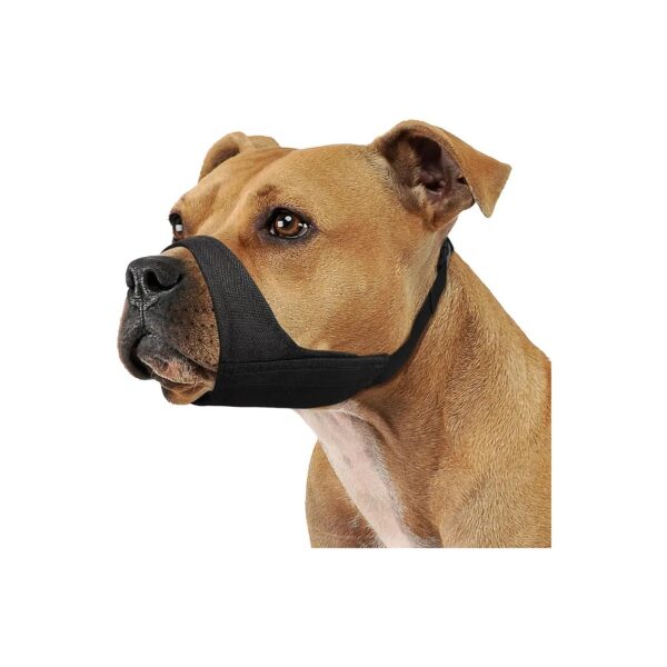 Muzzle for Rottweilers, Boxers, and American Pit Bull Terriers