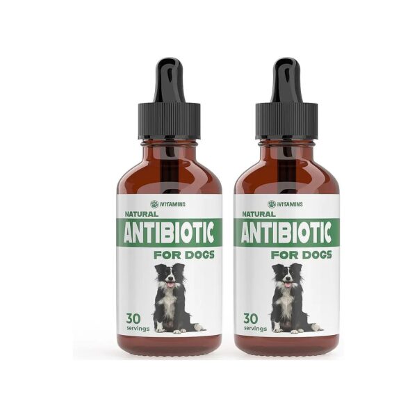 Natural Antibiotic Support for Dogs with Allergy Relief and Itch Relief