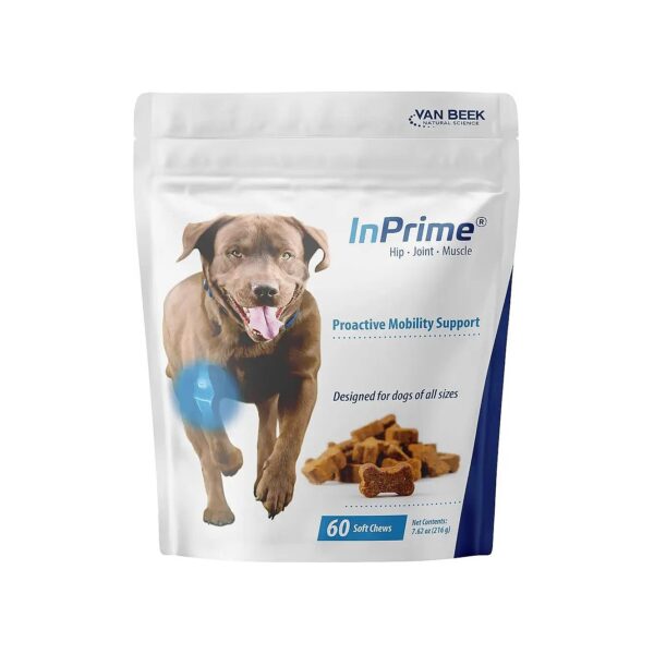 Natural Canine Mobility Aids for Happy and Healthy Dogs