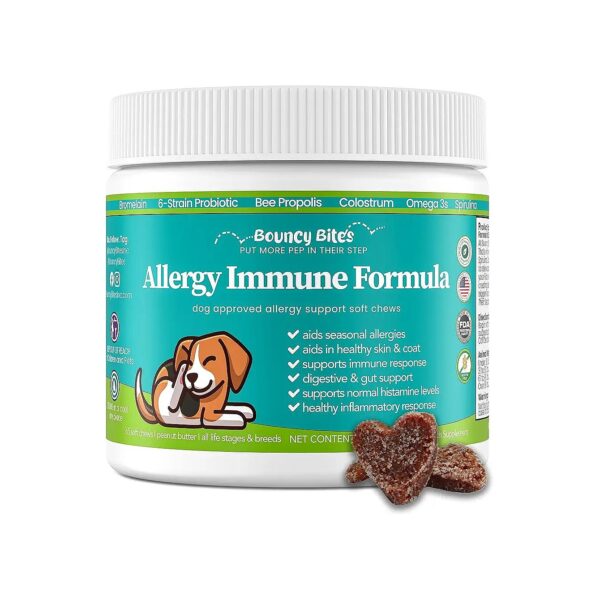 Natural Dog Allergy Supplements for Skin and Coat Healing