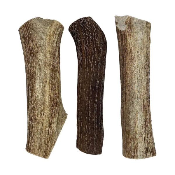 Natural Dog Antlers for Healthy Gums and Teeth of Large Breed Dogs