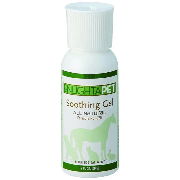 Natural Homeopathic Treatment for Pet Skin Discomfort and Pain