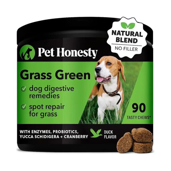 Natural Ingredients for a Healthy Dog and a Lush Green Lawn