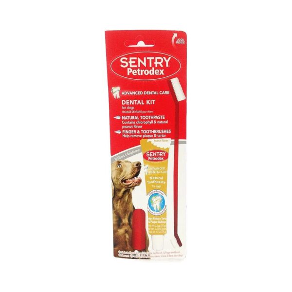 Natural Peanut Flavor Dog Dental Care Kit with Toothpaste and Two Foam Toothbrushes