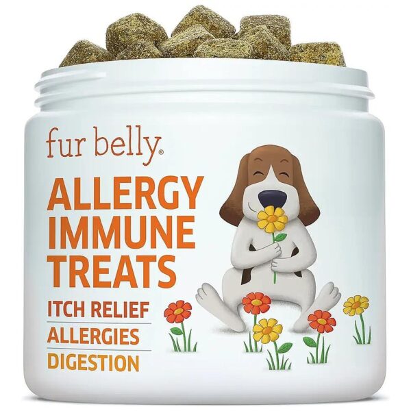 Natural Soft Chews for Dog Itch Relief, Allergy Immunity, and Healthy Skin