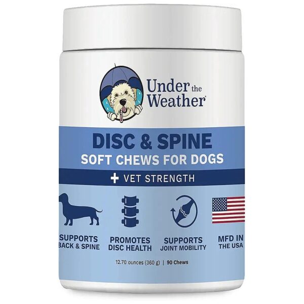 Natural and Conventional Veterinarian-Recommended Chews for Dog Spine and Disc Support