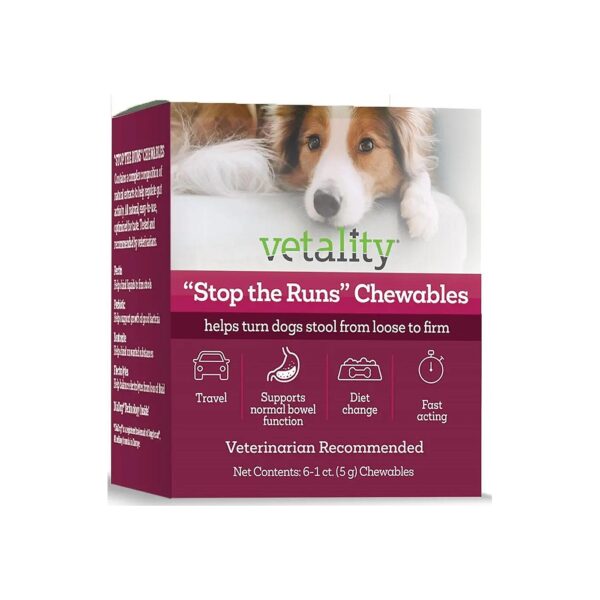 Natural and Safe Solution for Stopping Runs and Messy Mistakes in Dogs