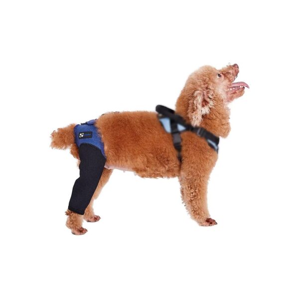 Neoprene Dog Recovery Suit for Dog Wounds - Waterproof and Abrasion Resistant