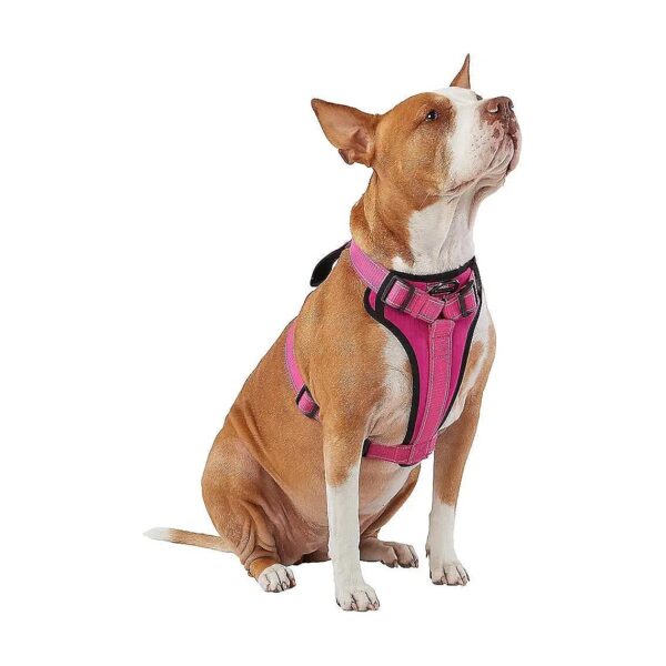 Neoprene Padded Chest Plate Dog Harness for Medium-Sized Dogs in Pink