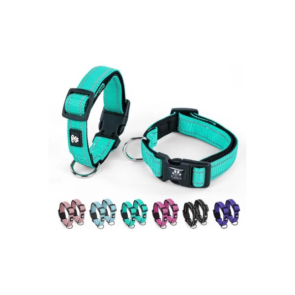 Neoprene Teal Adjustable Pet Collar for Small Medium Large Breed Dogs