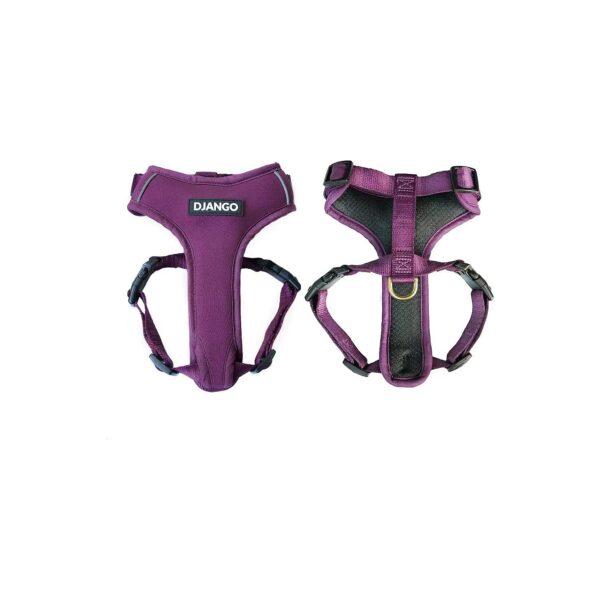 Neoprene and Mesh Dog Harness for Breathable and Comfortable Wear