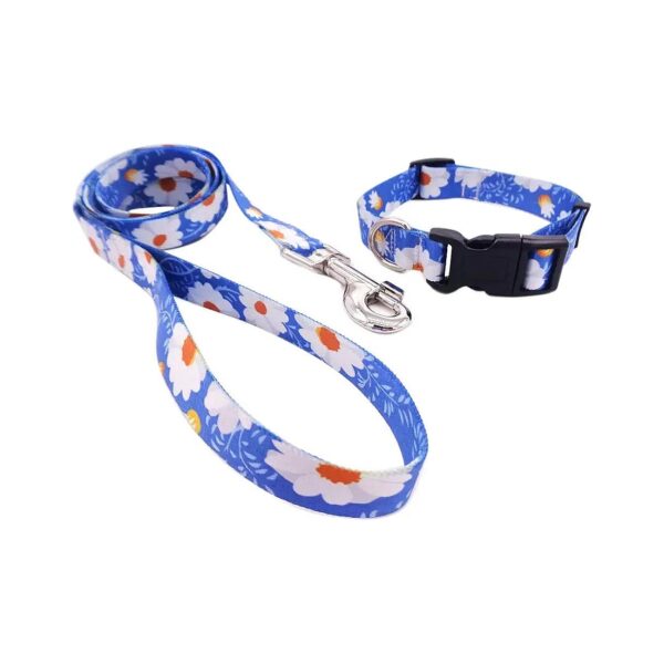 Nice Pattern Printing Dog Collar Leash Set for Outdoor Walking Small Medium Large Dogs