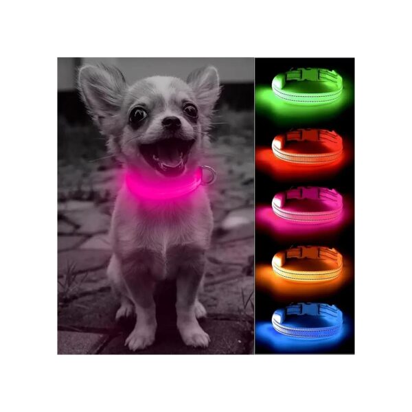 Night Walking Glowing Dog Collar for XK XS Small Dogs Pink LED Light