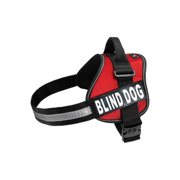 Nighttime Blind Dog Vest with Reflective Patches and Comfortable Fit