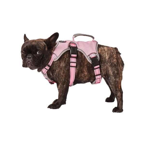 No Escape Dog Harness with Breathable Adjustable Vest for Medium Size Dogs