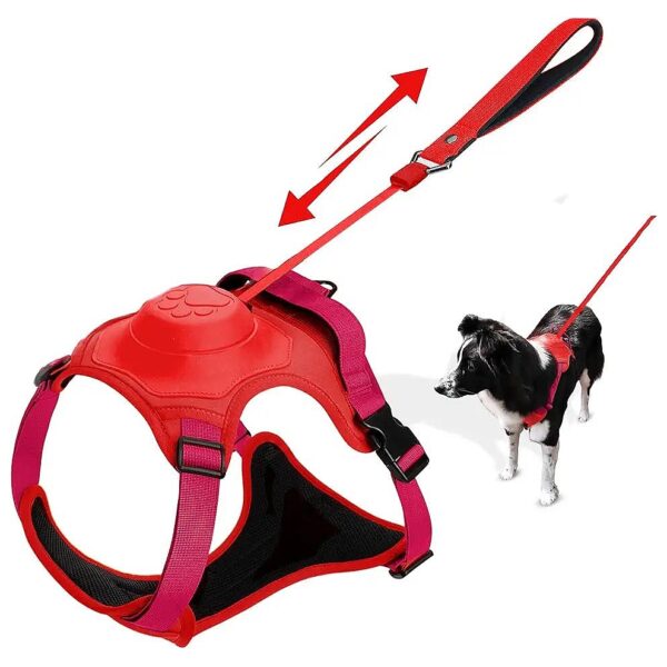 No Pull Dog Harness and Leash Combo for a Stress-Free Walk