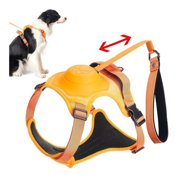 No Pull Dog Harness and Leash Set for Medium Small Dogs Easy Walking