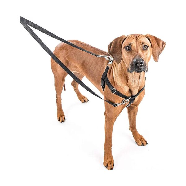 No Pull Dog Harness for Dogs of All Breeds and Sizes in Raspberry