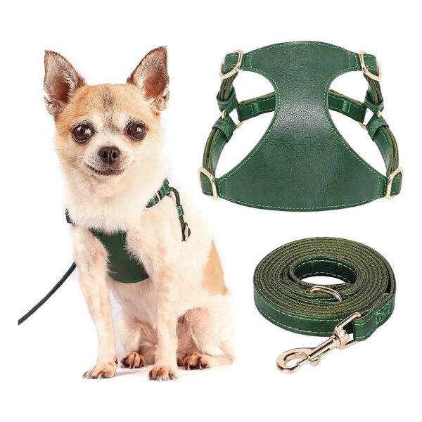 No Pull Dog Harness for Small to Medium Size Puppies - Green Leather Construction