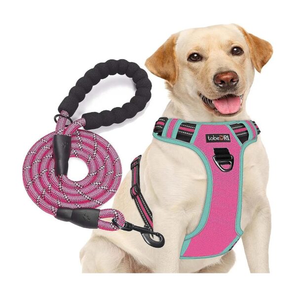 No Pull Dog Harness with Adjustable Oxford Material and Easy Control