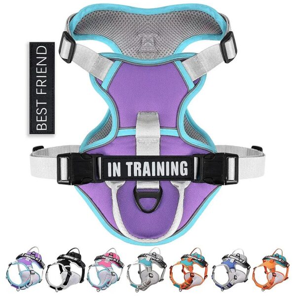 No Pull Dog Harness with Front and Back Leash Clips for Small Medium Large Dogs