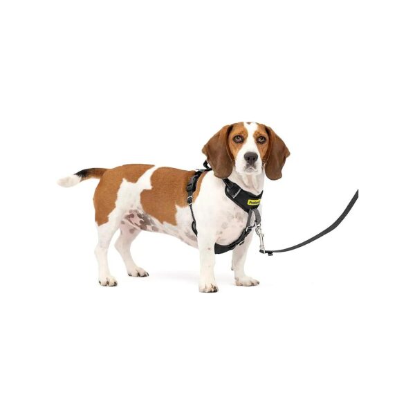 No Pull Dog Harness with Full Body Padding for Comfortable Walks