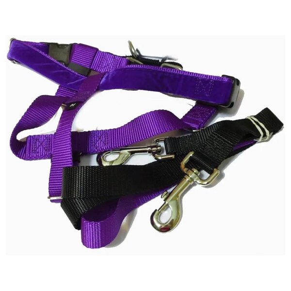 No Pull Dog Harness with Leash for Discouraging Pulling Techniques