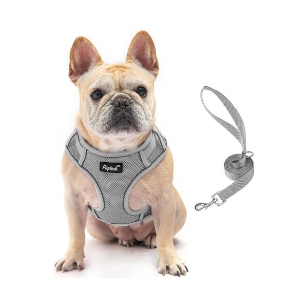 No Pull Dog Harness with Soft Mesh Material for Small Medium Dogs