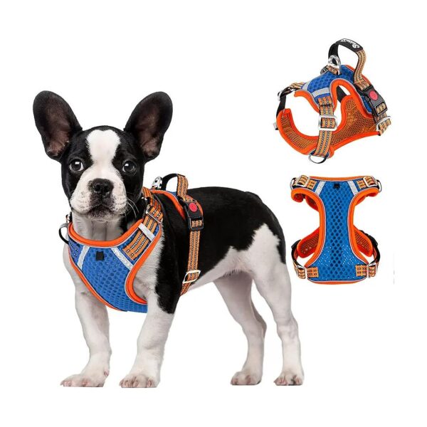 No Pull Dog Harness with Soft Mesh and Adjustable Straps