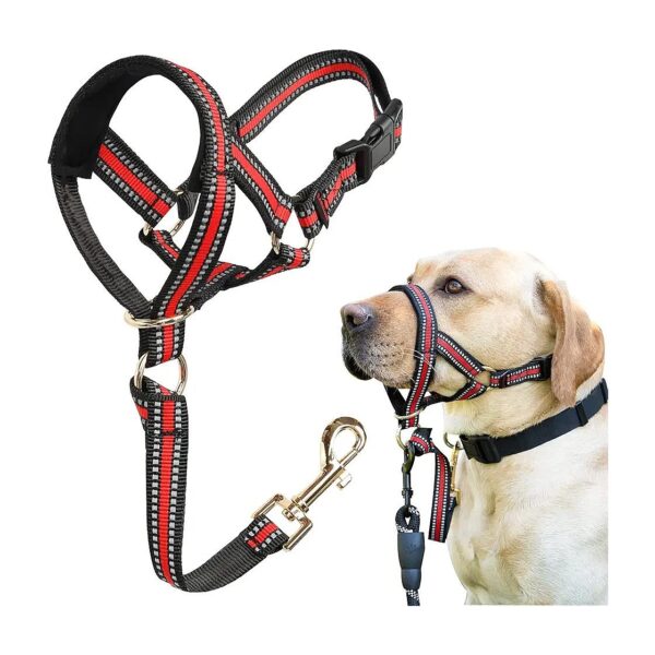 No Pull Dog Head Halter and Leash for Medium Large Dogs with Adjustable Head Collar