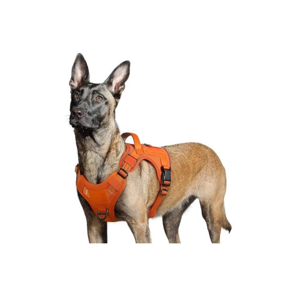 No Pull Tactical Dog Harness with Handle & Molle for Walking Training Large Dogs Orange