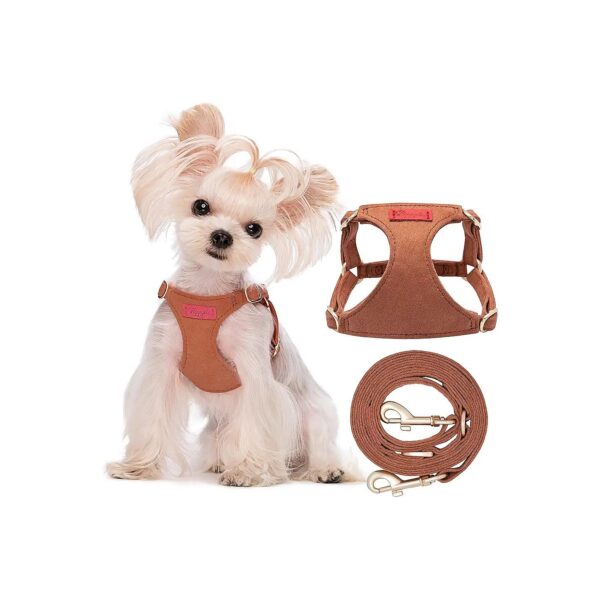 No Pull XXS Puppy Harness with Soft Adjustable and Multifunctional Leash