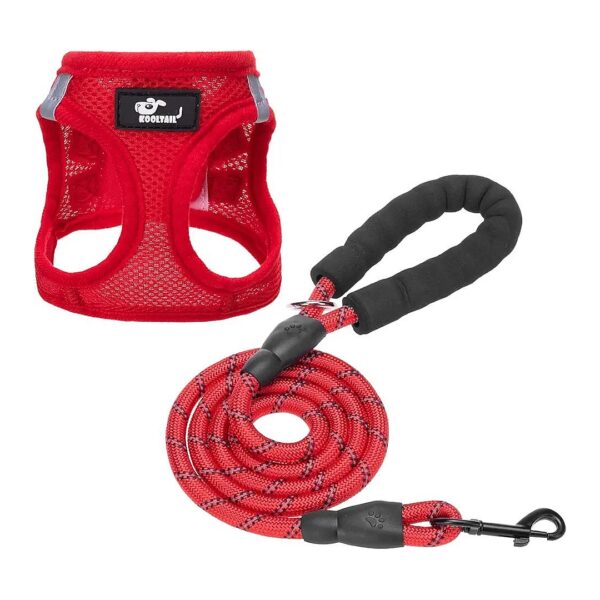 No Pull and No Choke Dog Harness with Reflective Leash for Small Dogs and Cats Walking