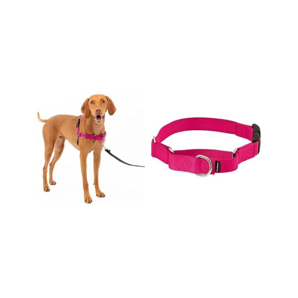 No Pulling Dog Harness and Martingale Collar Bundle for Medium Dogs