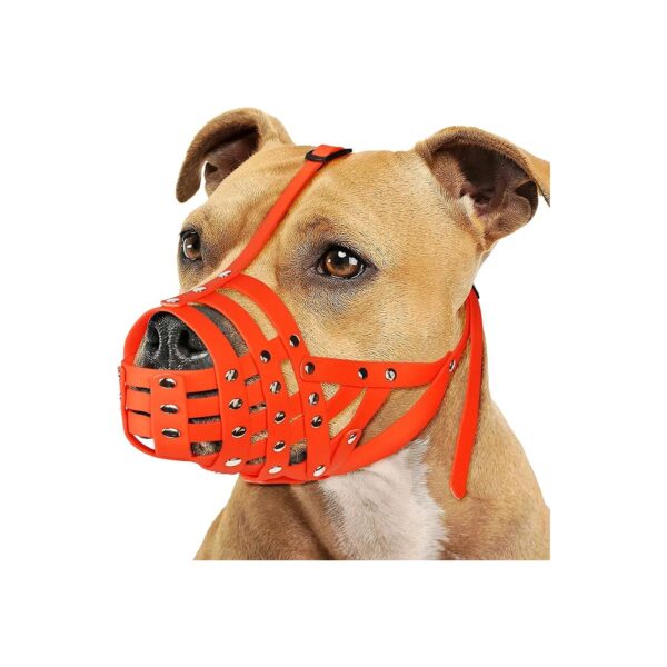 No-Lick No-Scratch Muzzle for Pitbulls and Other Large Dogs - Waterproof and Strong