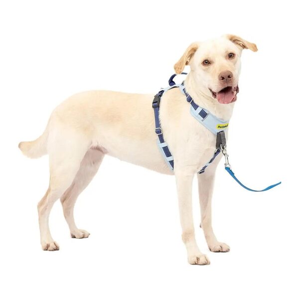 No-Pull Dog Harness with 5 Points of Adjustment for a Perfect Fit and Comfortable Walk